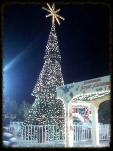 Christmas in San Jose Del Cabo